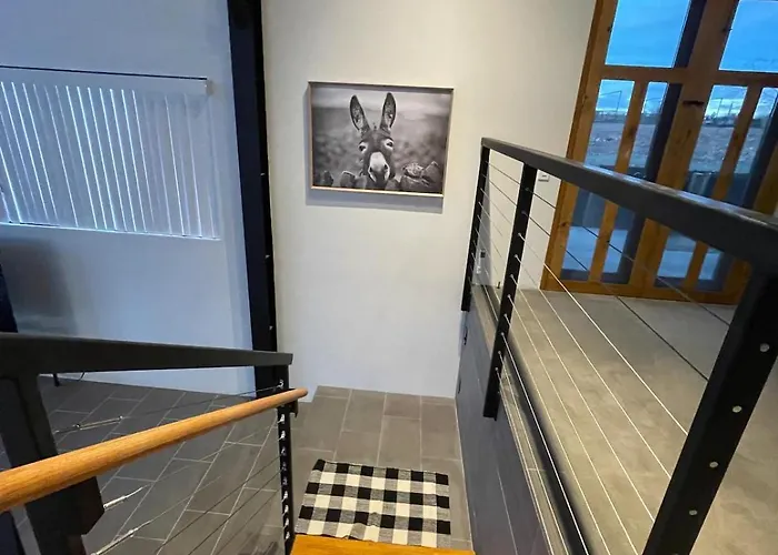 The Holiday home *